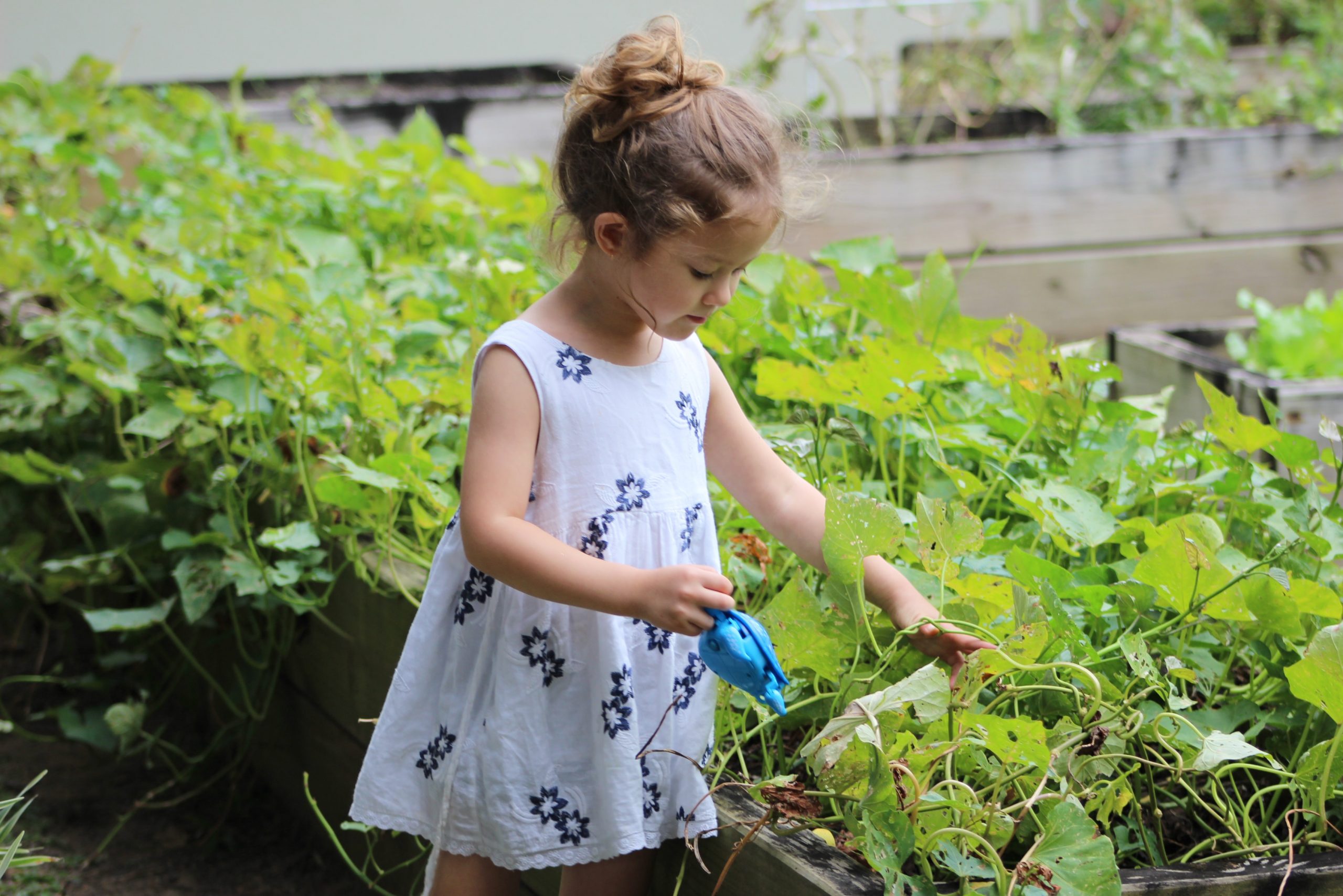 Garden Girl